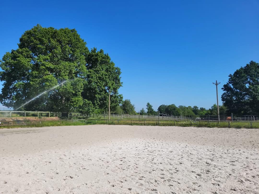 Arrosage de carrière équestre par temps chaud