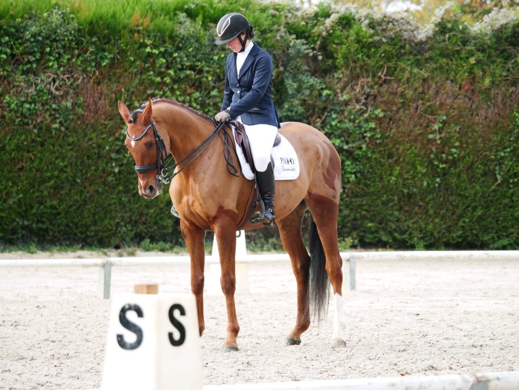 Naomie Monitrice d'Équitation Écuries des Mottes, en reprise de dressage avec son cheval