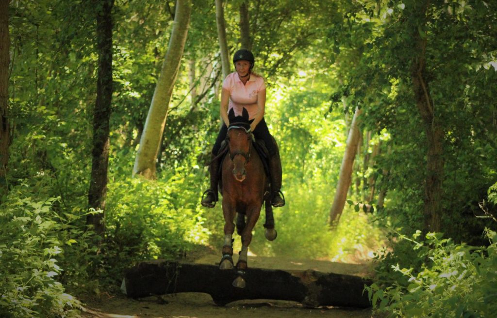 Gérante d’écurie du Val-d’Oise en saut d’un tronc en pleine forêt pendant une sortie à cheval